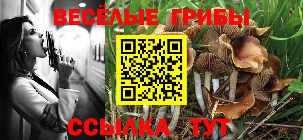 Симферополь  купить наркоту  Вход с VPN  Галлюциногенные грибы мицелий 