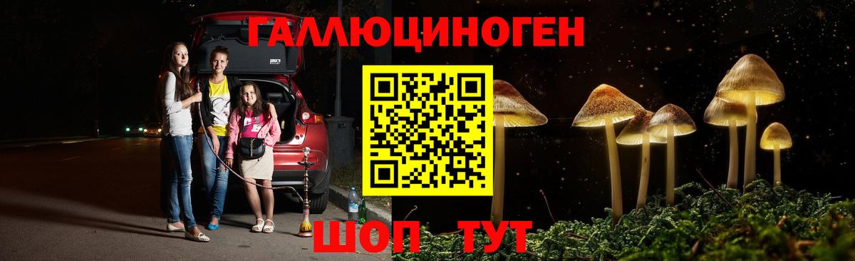 Псилоцибиновые грибы Psilocybine cubensis Симферополь